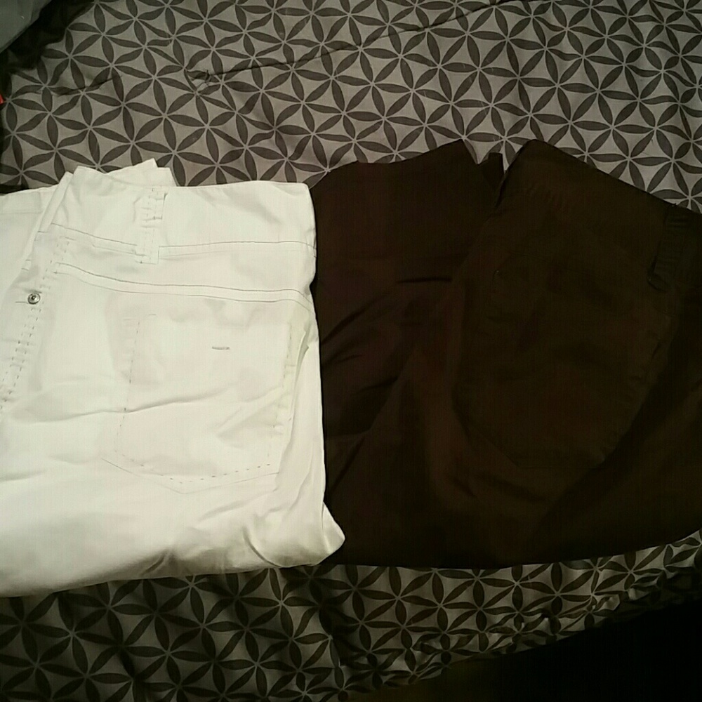 Style&co capris